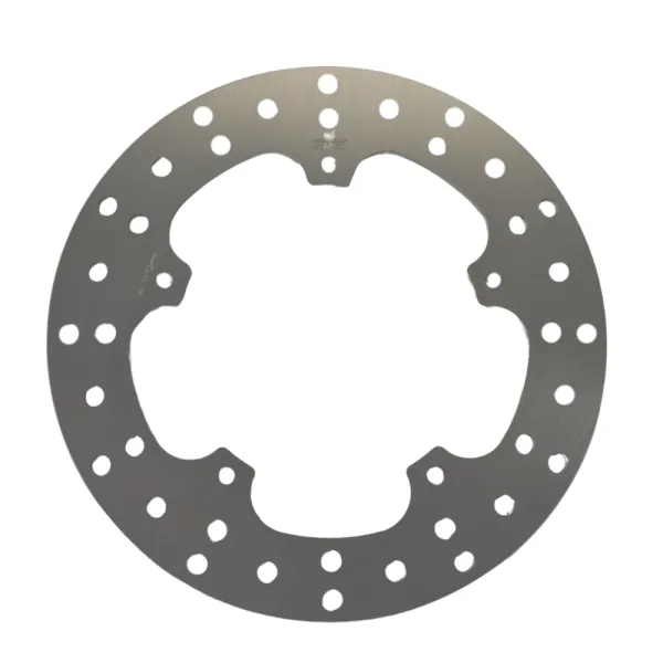 Bremsscheibe hinten für BMW S1000R, RR, XR