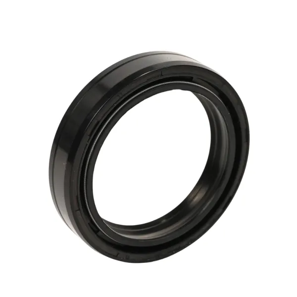Gabeldichtring für BMW R80/100R, R1200S, K75, F650, 41 mm