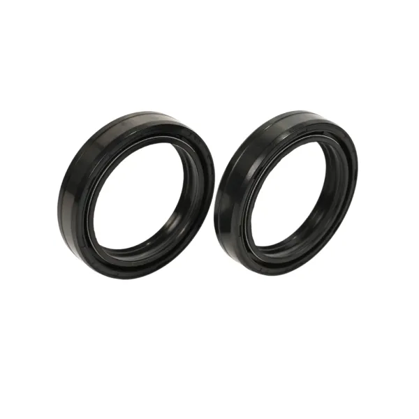 Gabeldichtring Satz für BMW R80/100R, R1200S, K75, F650, 41 mm