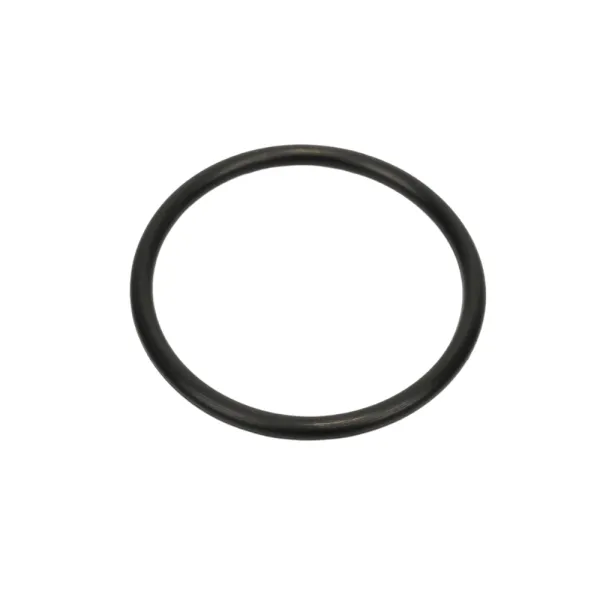 O-Ring für Federlager BMW R nineT, S1000R, RR, XR