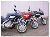 2002 F 650 CS Da die originalen farben nicht sonderlich begeisterten haben wir eine Serie mit konventionellen BMW Farben aufgelegt. Hier Mauritiusblau-met, Henna-rot und Avus-schwarz